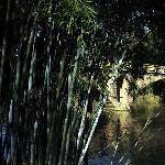 幽丽的苏家围图片 自然风光 风景图片