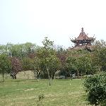 春天--一起去公园吧！图片 自然风光 风景图片