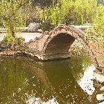 老桂湖图片 自然风光 风景图片