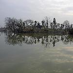 冬日里的湿地图片 自然风光 风景图片