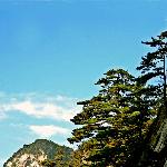 江浙有苏杭  湖北有天堂图片 自然风光 风景图片