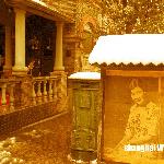 yellow.shanghai图片 自然风光 风景图片