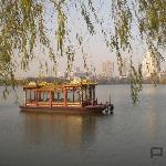 莫愁湖畔图片 自然风光 风景图片