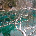 冰雪九寨——绚丽的五花海图片 自然风光 风景图片