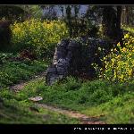 瓦色图片 自然风光 风景图片