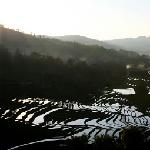 坝达梯田（元阳）图片 自然风光 风景图片