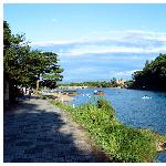 京都－岚山图片 自然风光 风景图片