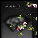 五下江南之苏州狮子林图片 自然风光 风景图片