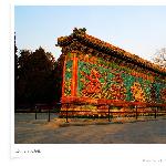 北京北海公园之二-九龙壁图片 自然风光 风景图片