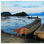 摩梭人的“母亲湖”--泸沽湖图片 自然风光 风景图片