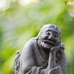 海鸥手动头 F/.图片 自然风光 风景图片