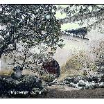 苏州网狮园图片 自然风光 风景图片
