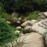 幽谷神潭二——溪水之恋图片 自然风光 风景图片