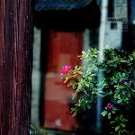 古城春意图片 自然风光 风景图片