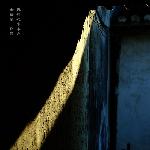 岁末、光韵之朱家角补遗图片 自然风光 风景图片