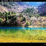 走马观花之九寨沟图片 自然风光 风景图片