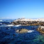 开普敦海豹岛图片 自然风光 风景图片
