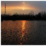 即将沉沦的夕阳图片 自然风光 风景图片