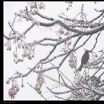 美丽如画图片 自然风光 风景图片