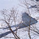 林海雪景图片 自然风光 风景图片