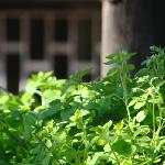抓住秋天的尾巴（篇）图片 自然风光 风景图片