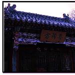 花千树图片 自然风光 风景图片