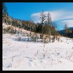 最冻人雪景@羊草山图片 自然风光 风景图片