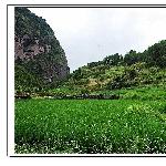 寨下大峡谷图片 自然风光 风景图片