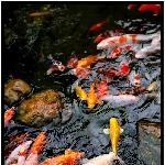 纷霏漫雨-清明中山随拍图片 自然风光 风景图片