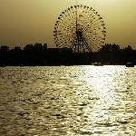 济南大明湖图片 自然风光 风景图片