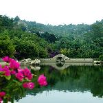 春染翠湖图片 自然风光 风景图片