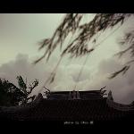 柔软的剪影时光图片 自然风光 风景图片