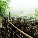 印象西杭II图片 自然风光 风景图片
