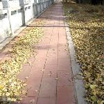 辽阳新华园图片 自然风光 风景图片