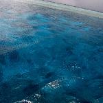 海NO,TUBBATAHA潜水图片 自然风光 风景图片