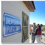 Punta Tombo图片 自然风光 风景图片