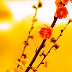 忠仑公园图片 自然风光 风景图片