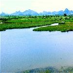 木龙湖图片 自然风光 风景图片