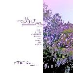 梦里花开 紫藤の春图片 自然风光 风景图片
