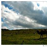 新疆——晨暮阴晴图片 自然风光 风景图片