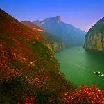 正是三峽紅葉時图片 自然风光 风景图片