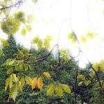 秋天夏日图片 自然风光 风景图片