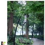 曲院风菏图片 自然风光 风景图片