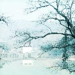 江南的寒冬图片 自然风光 风景图片