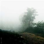 牯牛降的山坡似梦图片 自然风光 风景图片