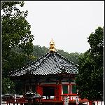 成田山金刚王院 [一]图片 自然风光 风景图片