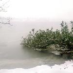 年的第三场雪图片 自然风光 风景图片