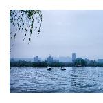 我们的大明湖图片 自然风光 风景图片