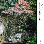 婺源大鄣山图片 自然风光 风景图片