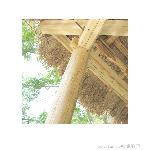 坝美·续二图片 自然风光 风景图片